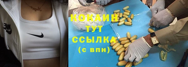 амф Алзамай