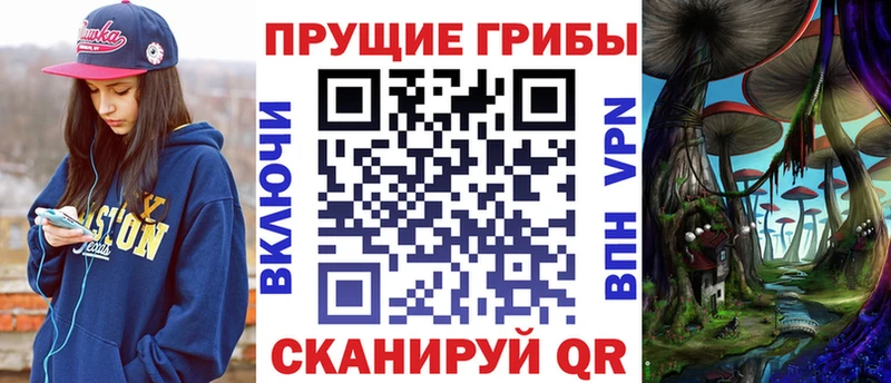 МЕГА маркетплейс закладки Сухиничи Псилоцибиновые грибы Cubensis